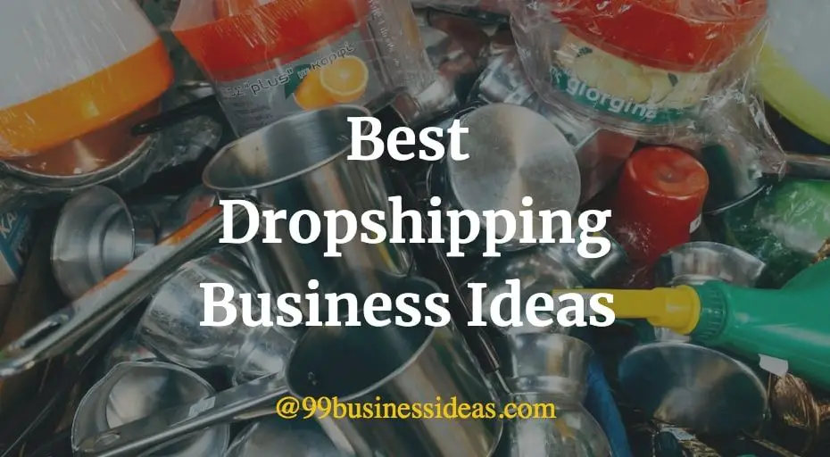 Here is a list of the best and most profitable dropshipping business ideas