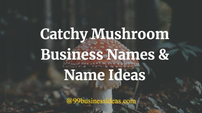 here is a list of the catchy mushroom business names and name ideas