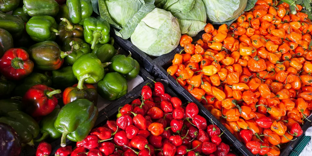 organic vegetable farming - best vegetable business ideas