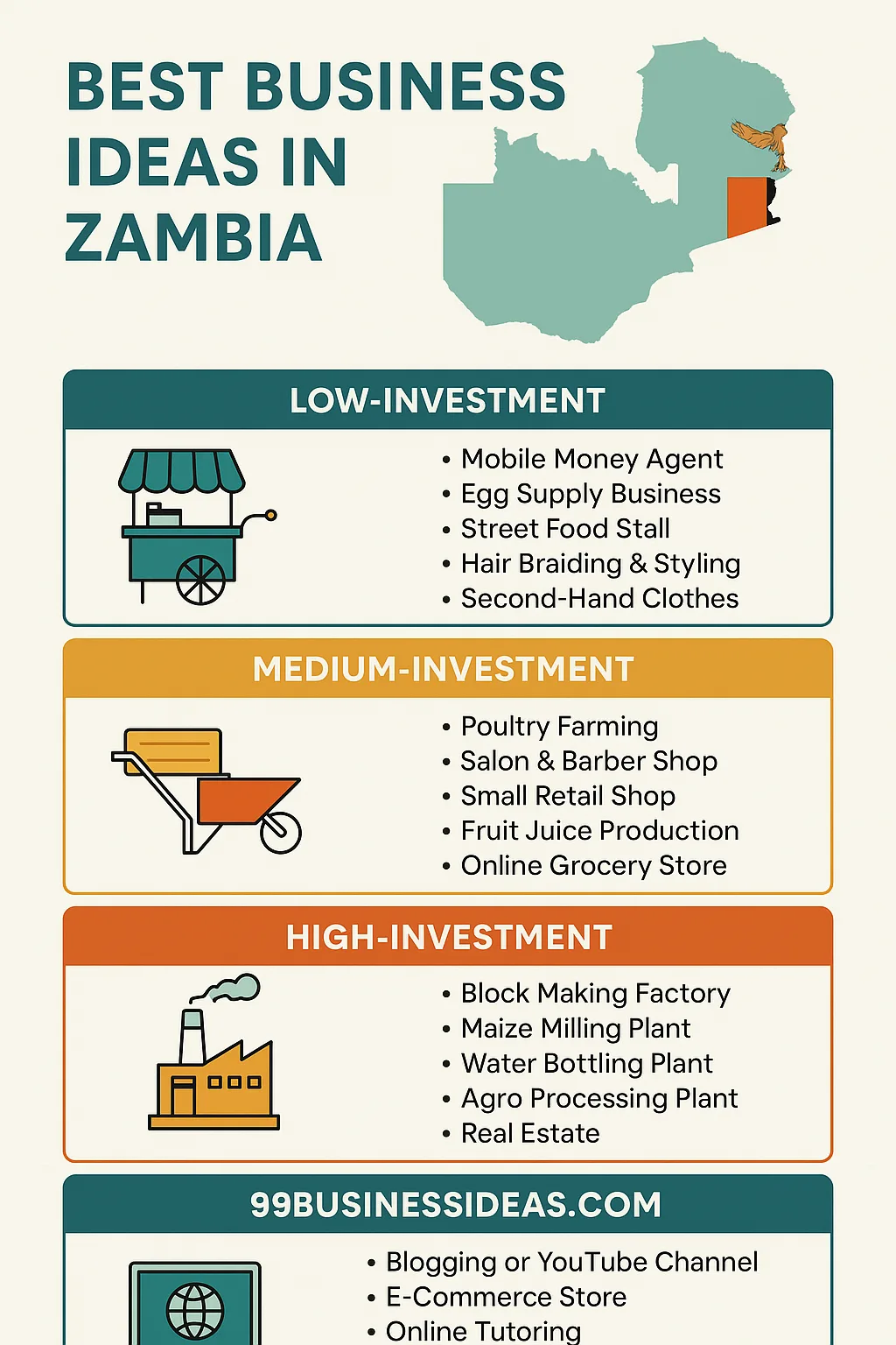 infogrpahic image of business ideas in Zambia
