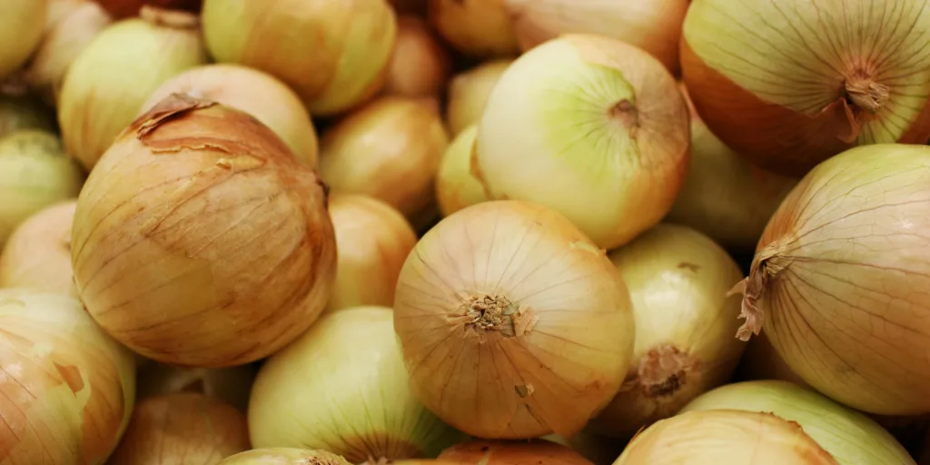 pack of onions in a farm