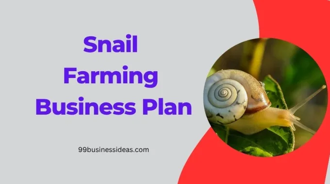snail farming business plan