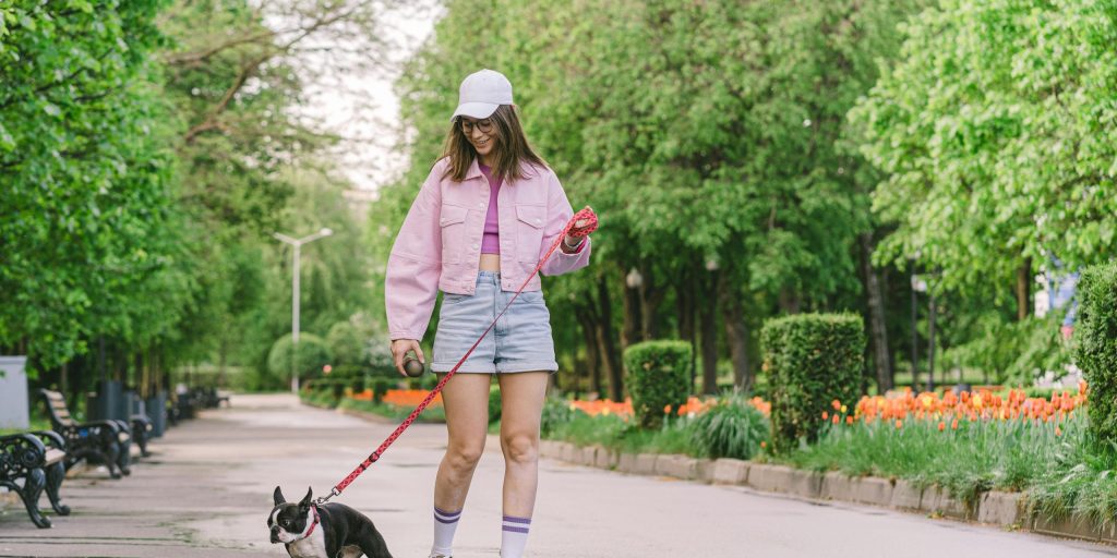 Independent dog walker with one dog in a park